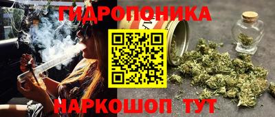 apvp Кандалакша