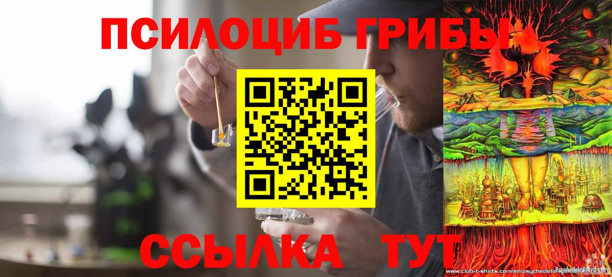Малгобек  Галлюциногенные грибы Psilocybine cubensis  Вход с VPN  Псилоцибиновые грибы Psilocybine cubensis 