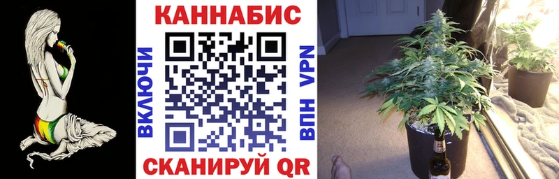 ОМГ ОМГ как войти  Малгобек  Шишки марихуана планчик 